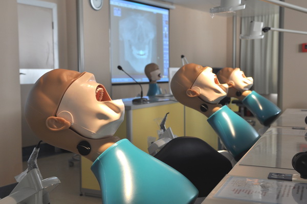 DSC_2742.jpg DSC_2742.jpg